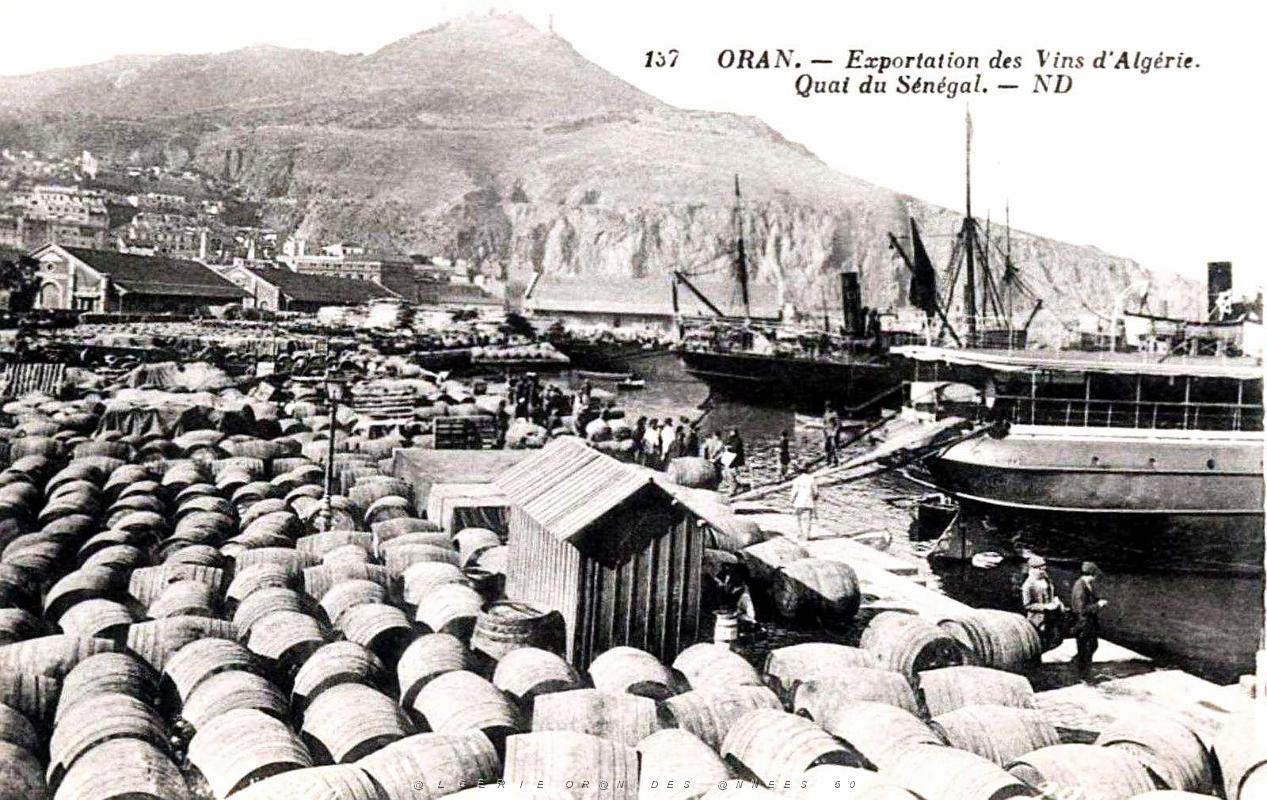 Oran-Port - Quai du Senegal - Exportation des vins.jpg